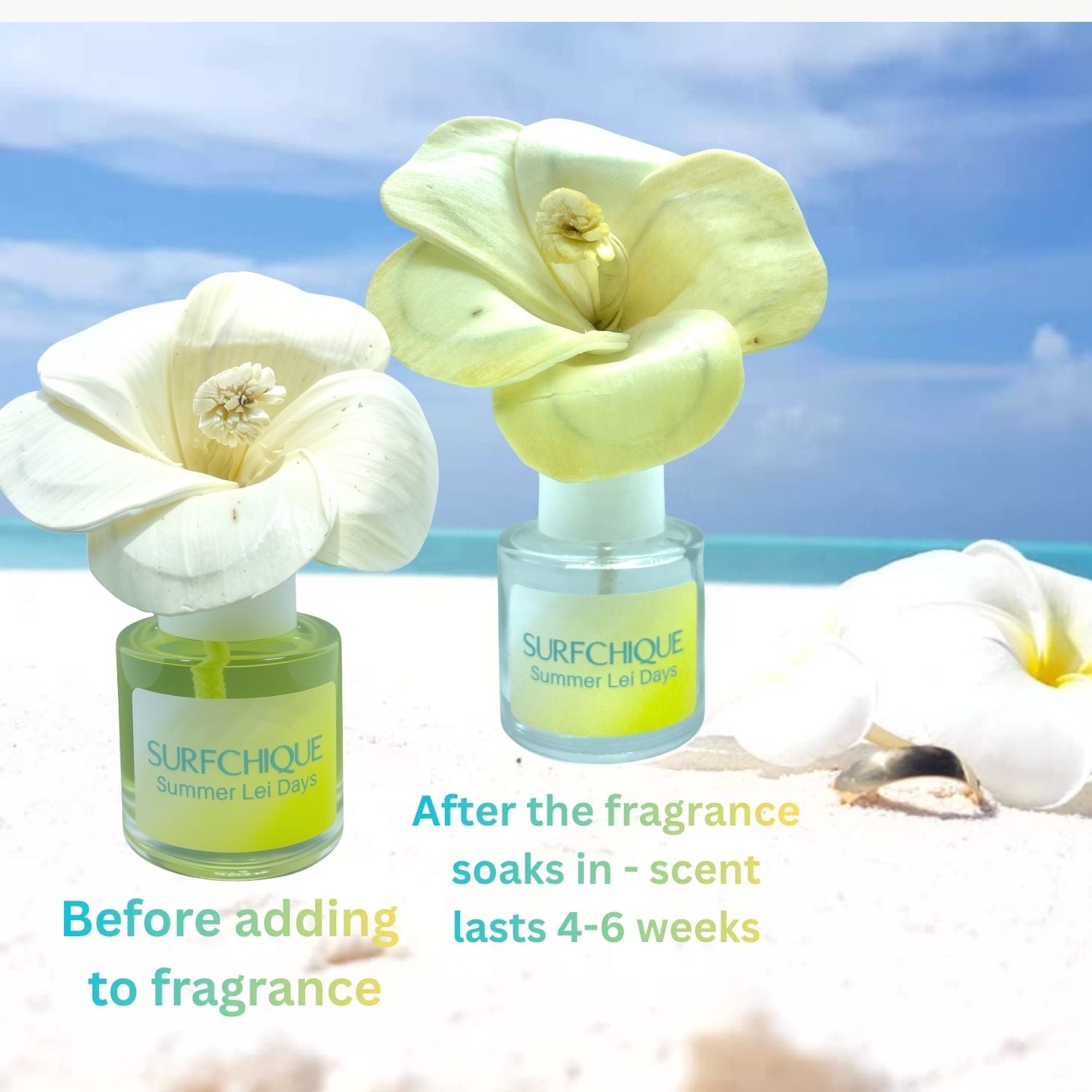 Before and after pick of Surfchique summer lei days perfume flower with flower being white originally and then summer yellow after drinking the fragrance oil - scent lasts 4-6 weeks and lasts even after the flower has consumed all the fragrance